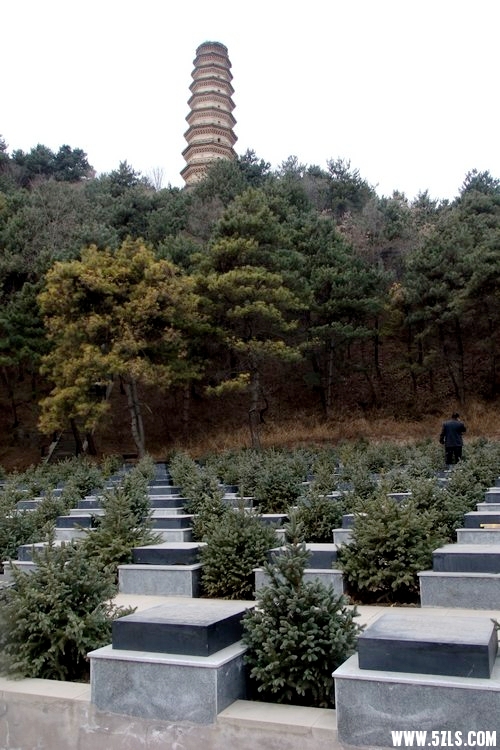 延川梁家河秧歌,绥德三十里铺村 - 羊年春节自驾陕北过大年之二