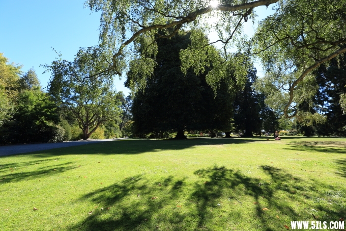 _MG_1849.JPG
