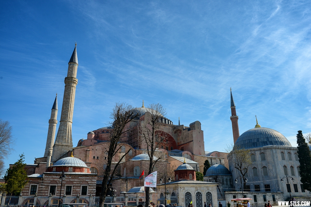 DSC_8188_.jpg