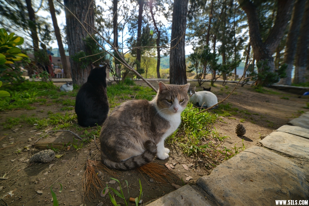 DSC_8658_.jpg