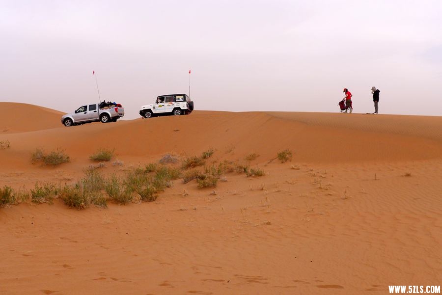P1320474_.jpg