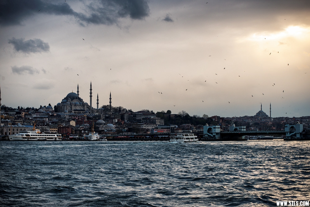 DSC_9391 (2)_.jpg