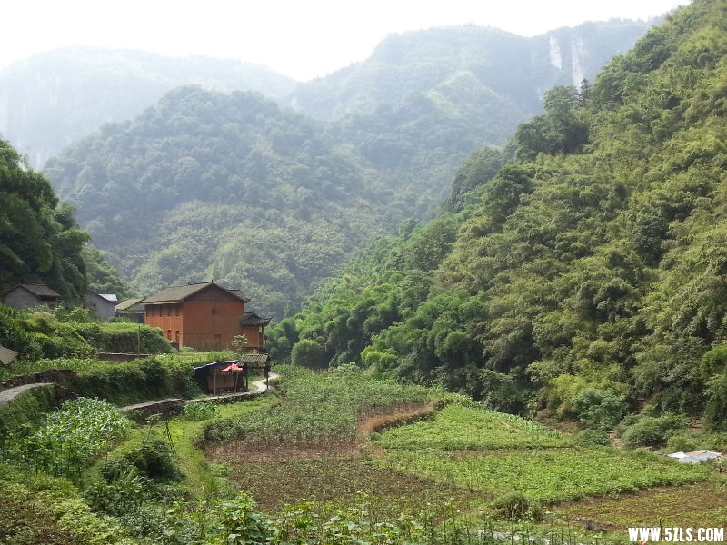20150619_102349.jpg