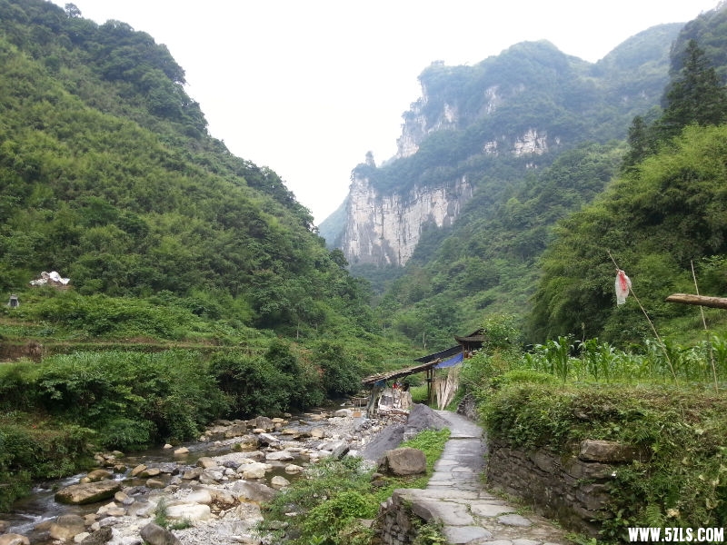 20150619_101221.jpg