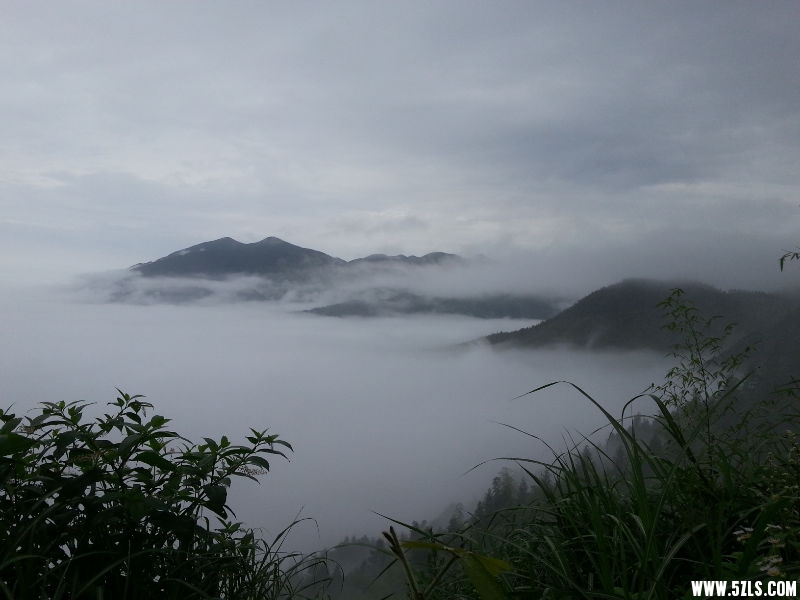 20150622_080858.jpg