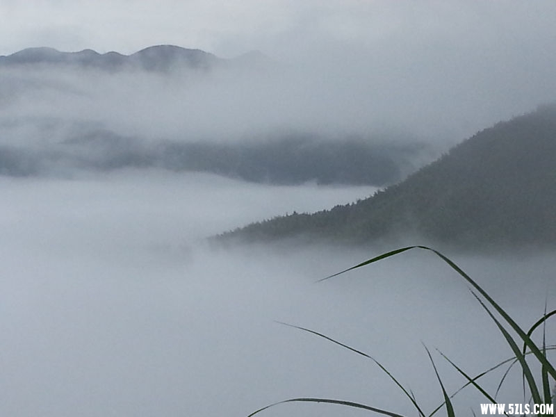 20150622_080926.jpg