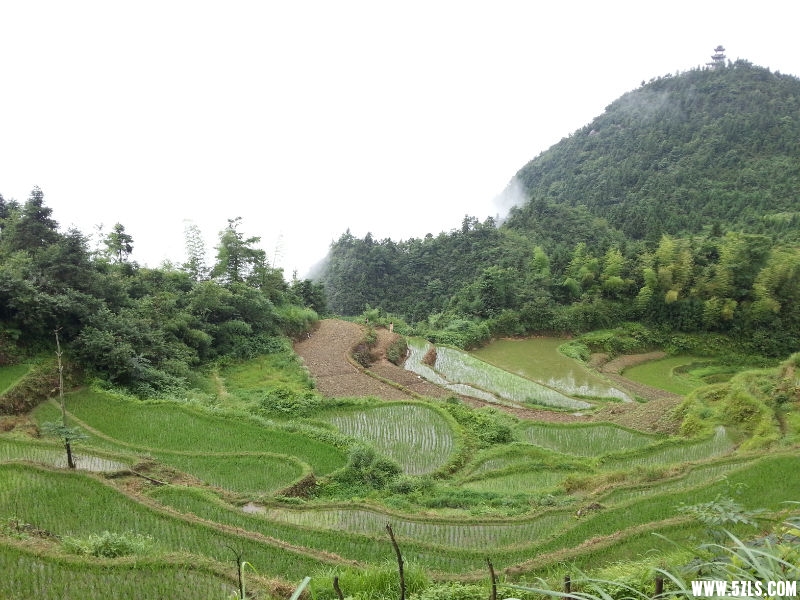 20150622_084215.jpg