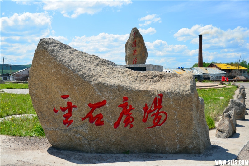 DSC_3203.jpg
