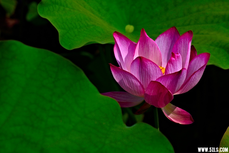 _MG_79841001.jpg