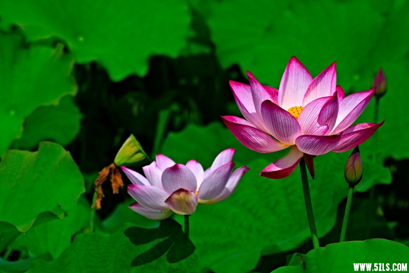 _MG_79991001.jpg