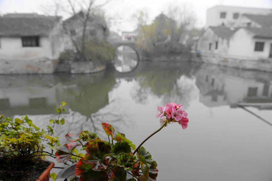 _DSC2506__.jpg