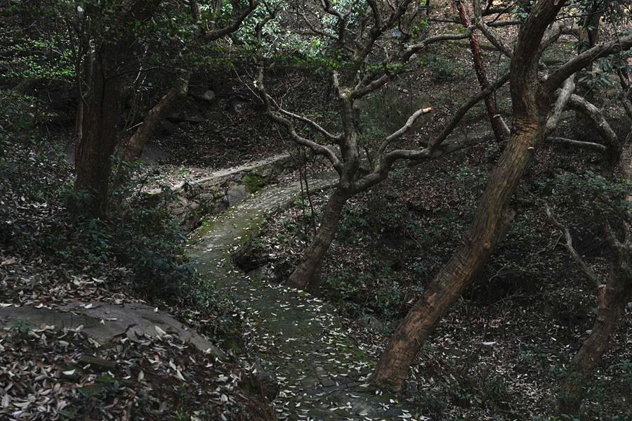 DSC_3484__.jpg