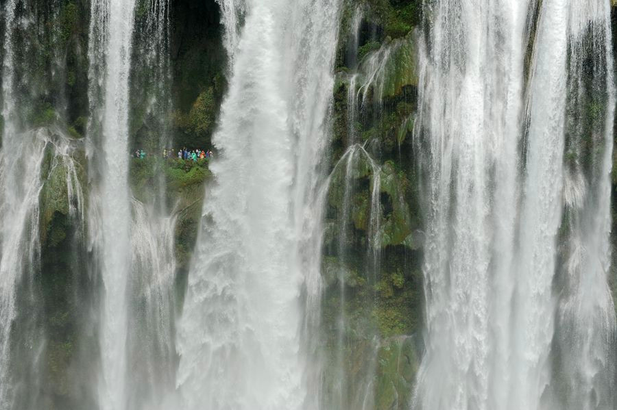 DSC_4228__.jpg