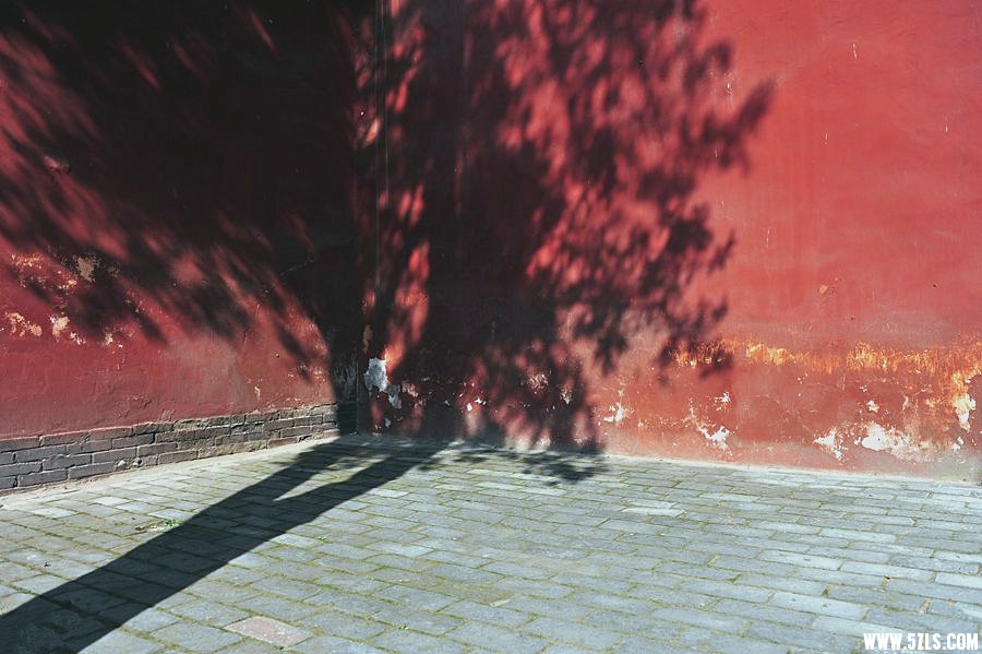 1SC_1358__.jpg
