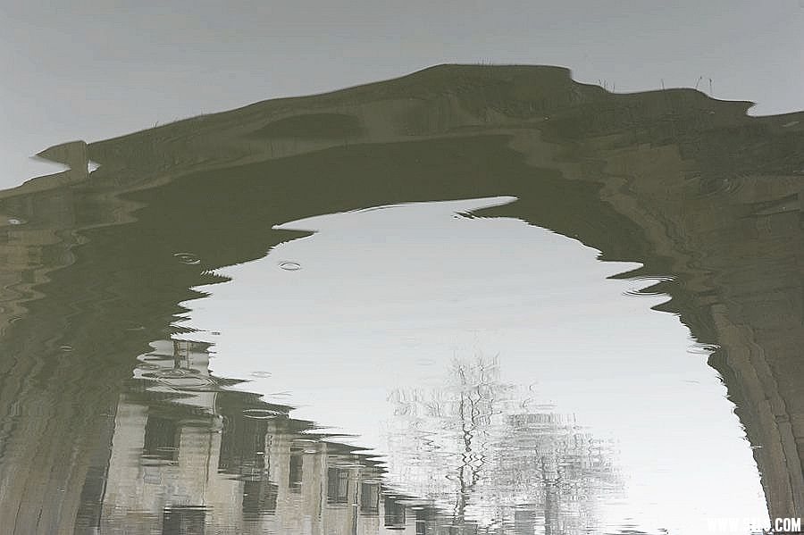 _DSC2529___.jpg
