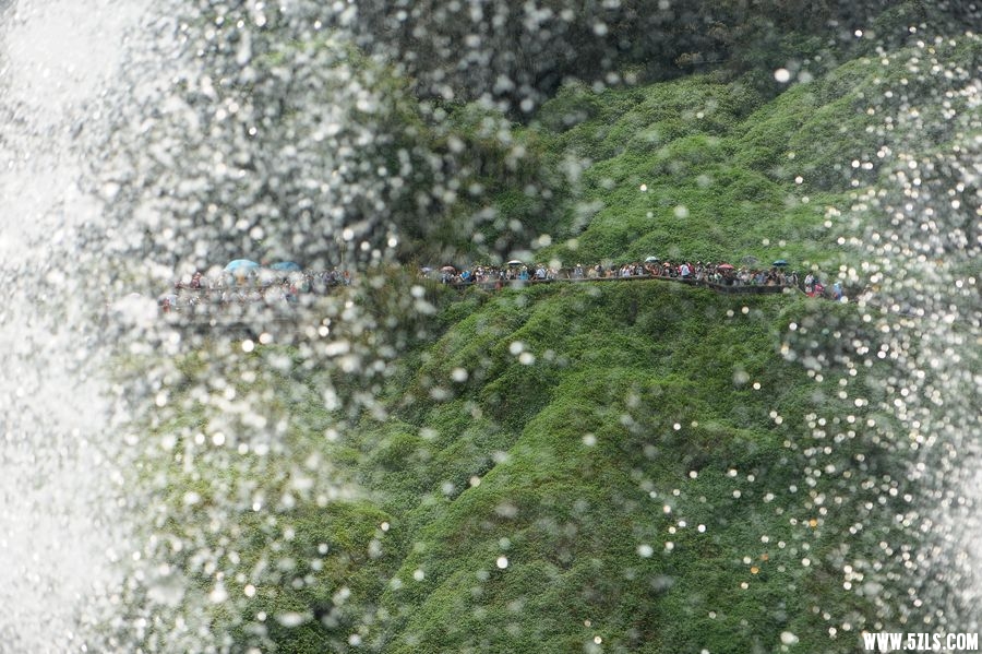 DSC_4358_.jpg