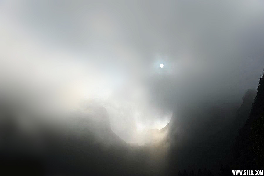 DSC_7429__.jpg