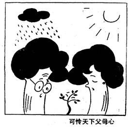 ¸ĸ.jpg