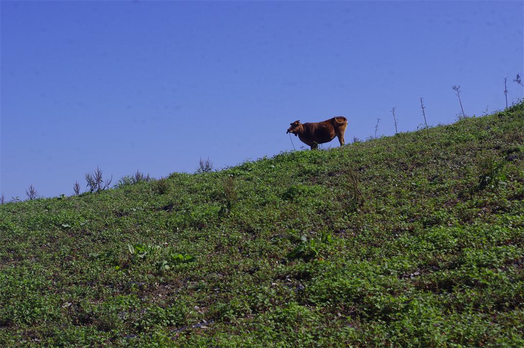 _igp7598.jpg