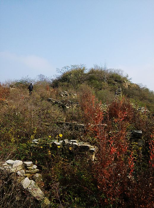 ½ļ (2)img_20161120_103753.jpg