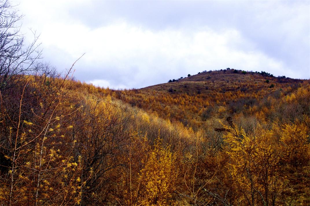 _igp8704_.jpg