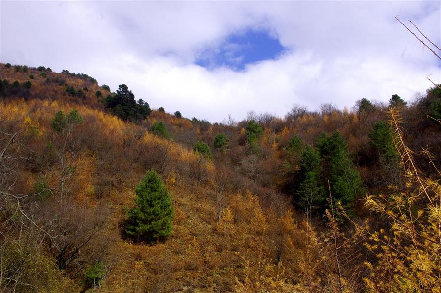_igp8815.jpg