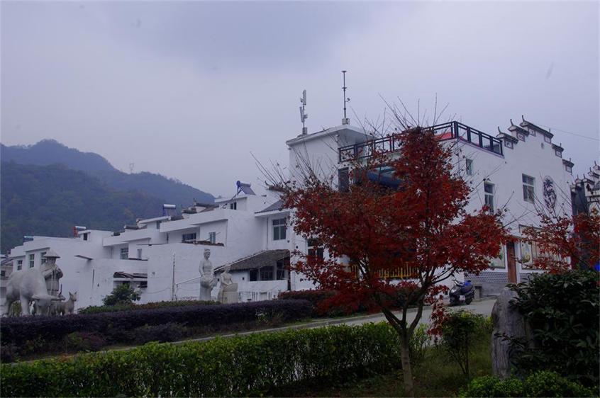 _igp9099.jpg