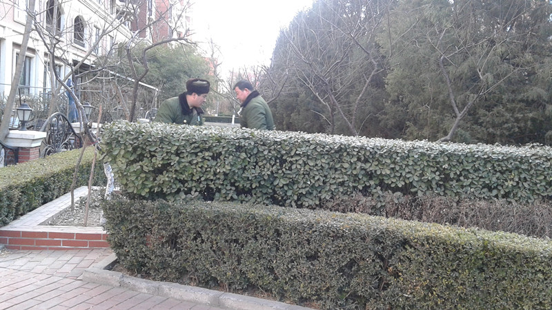 20160202_101541.jpg