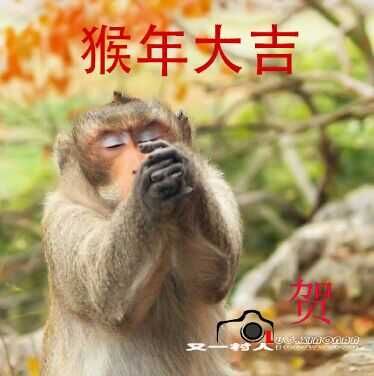 qqͼƬ20160207105049.jpg
