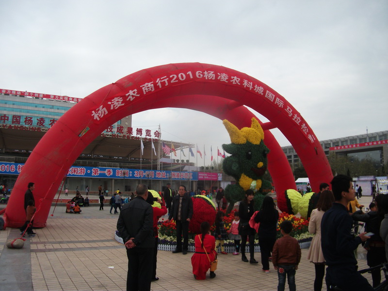 dscf1164.jpg