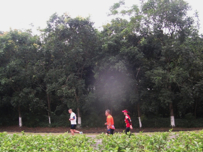 dscf0308.jpg
