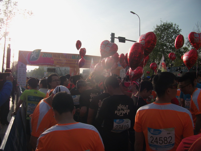dscf1201.jpg
