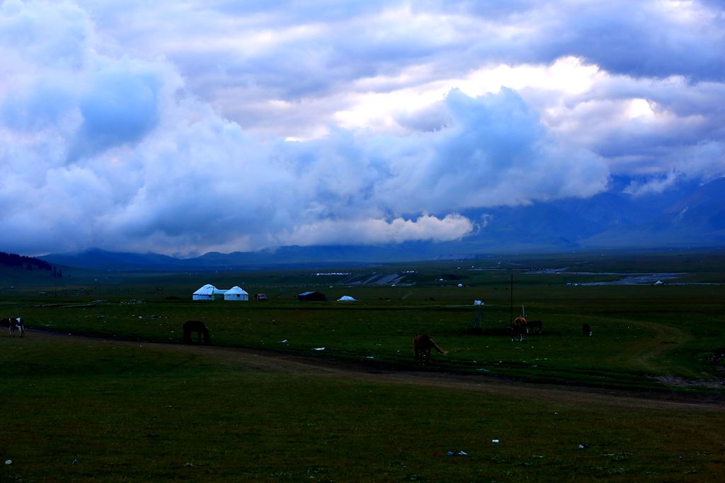 083a1269.jpg