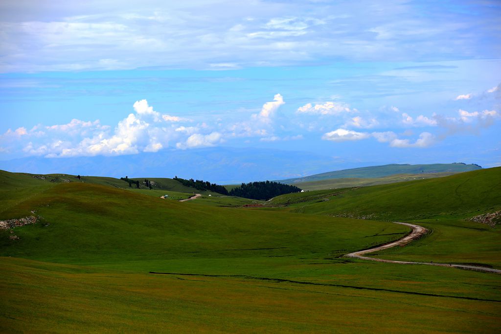 083a4075.jpg