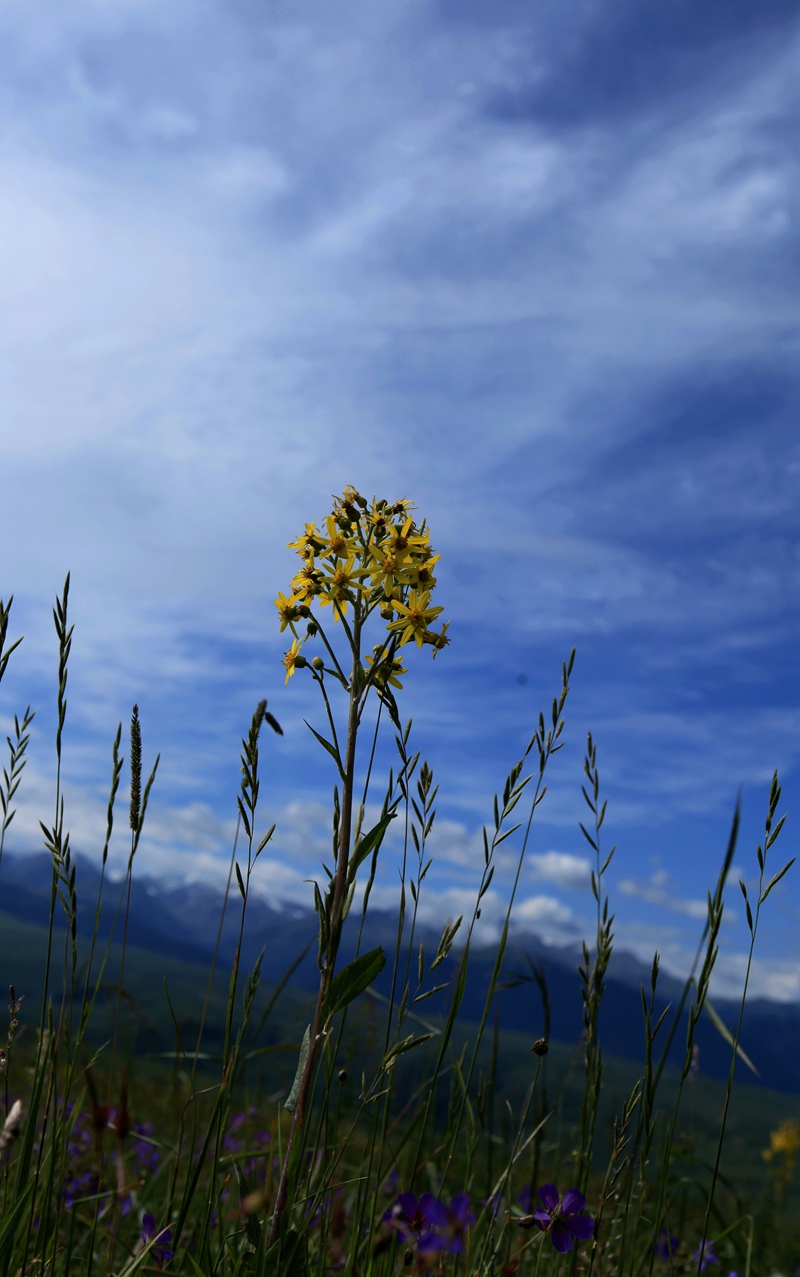 img_1508__6.jpg