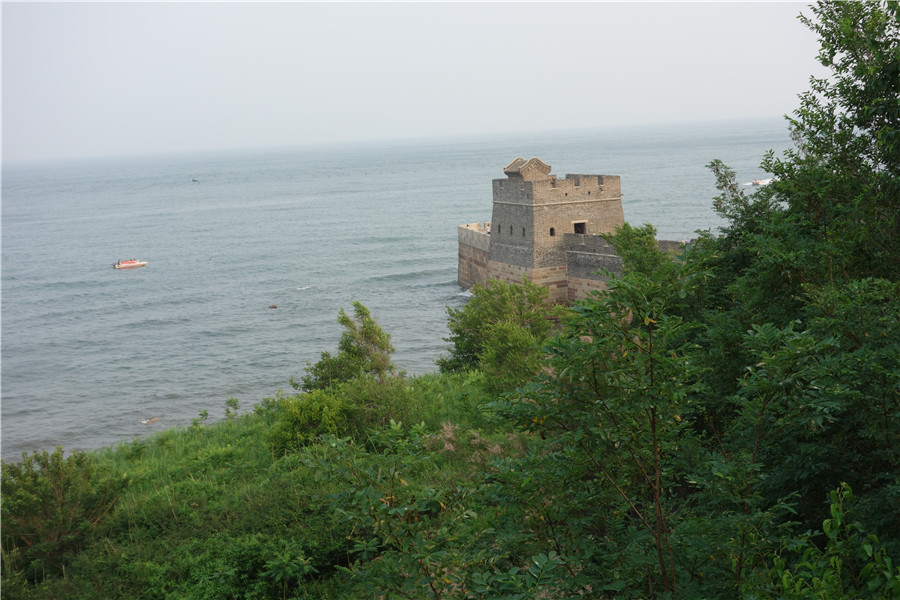 dsc01154.jpg