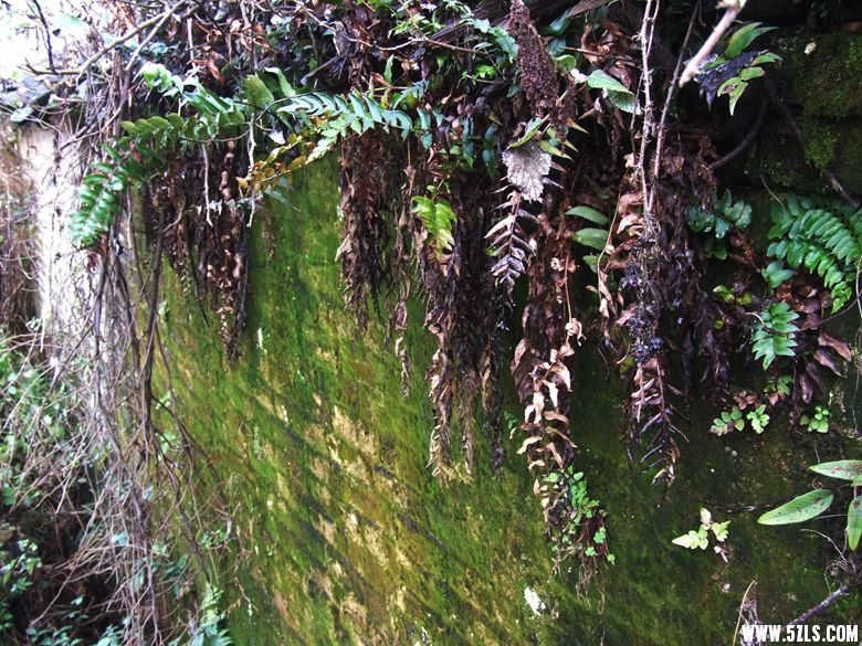DSCF0107.JPG