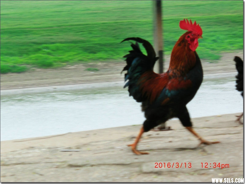 CIMG1615.JPG