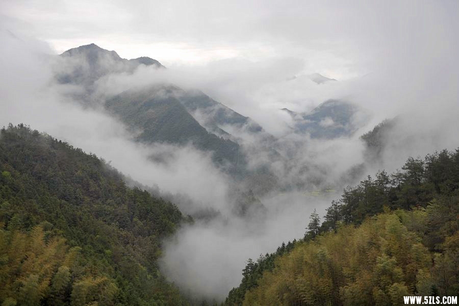 _DSC4333__.jpg