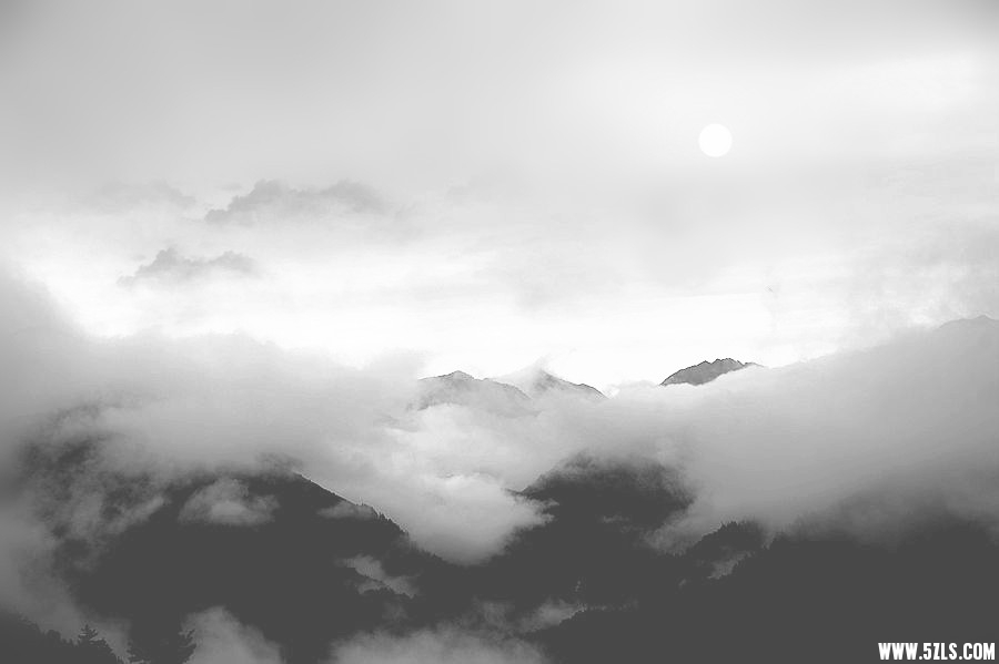 _DSC4315__.jpg