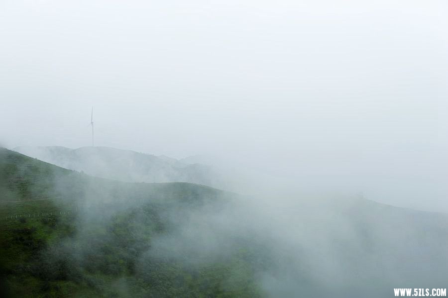 _DSC0189___.jpg