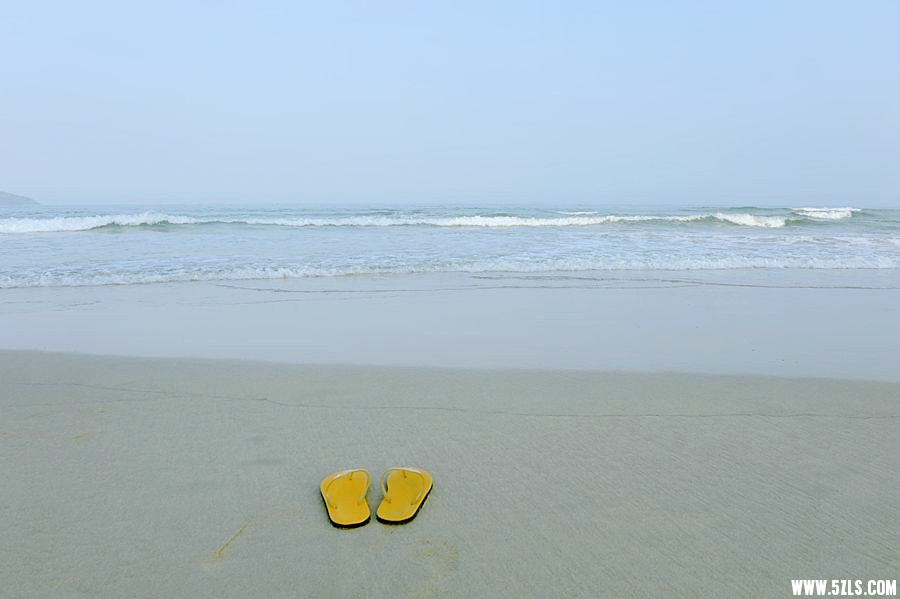 _DSC3195___.jpg