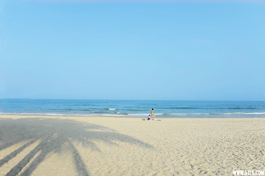 _DSC3173___.jpg