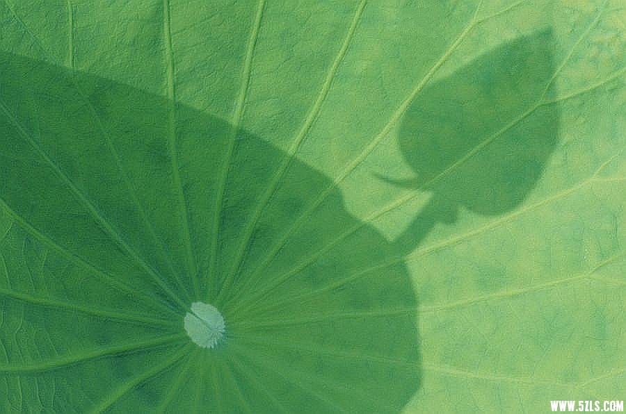 ĺɻ 004__.jpg