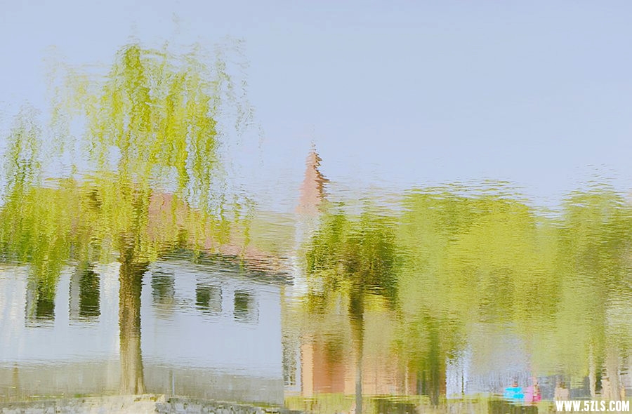  294__.jpg