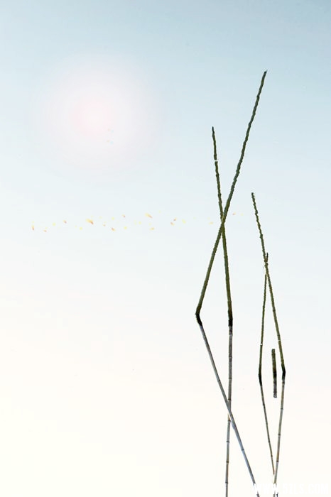 Ծ 479__.jpg