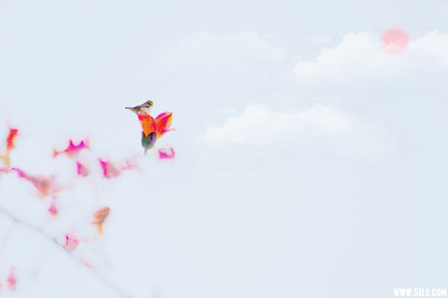 003___.jpg