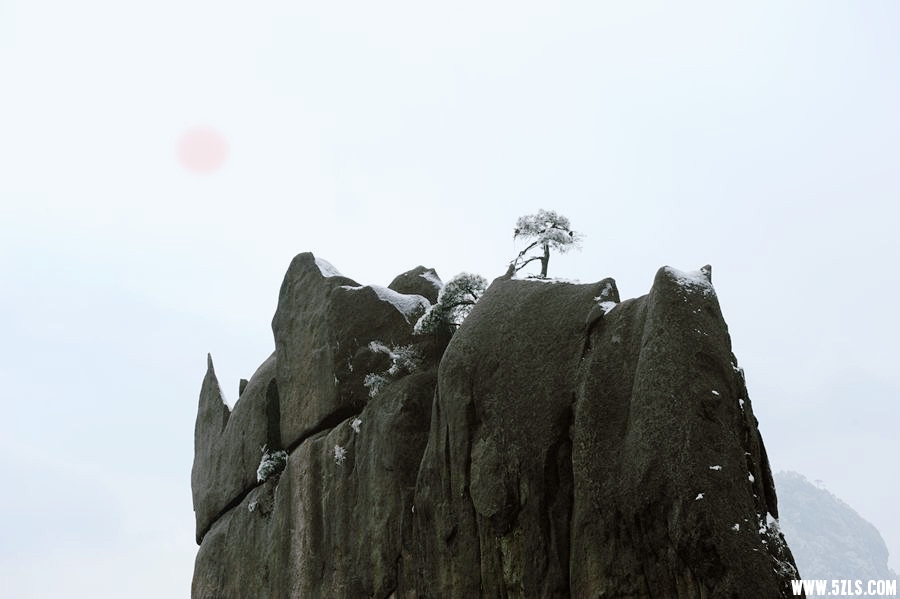 2010֮ 483__.jpg