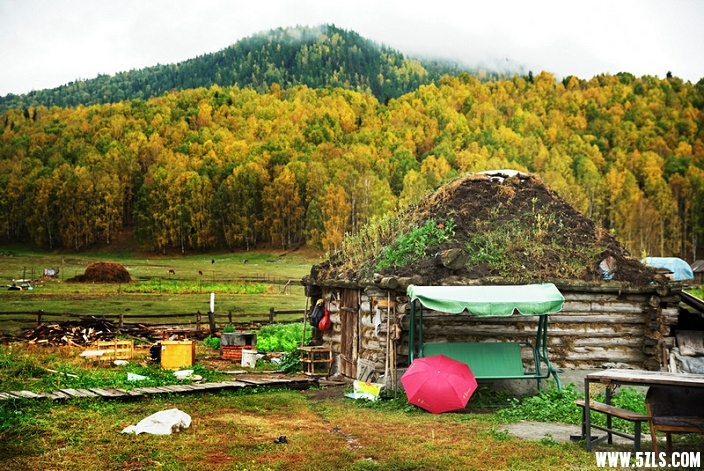 DSC05439__1.jpg