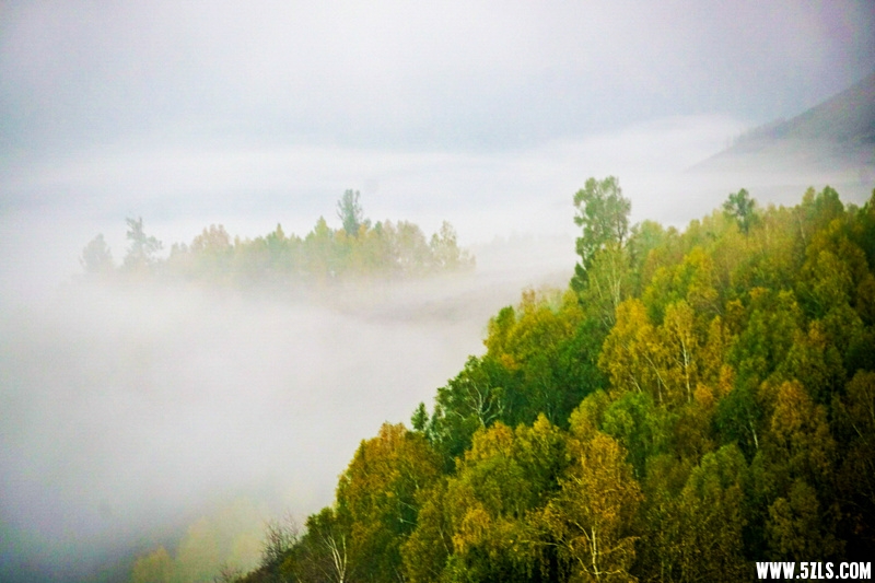 DSC05607__1.jpg